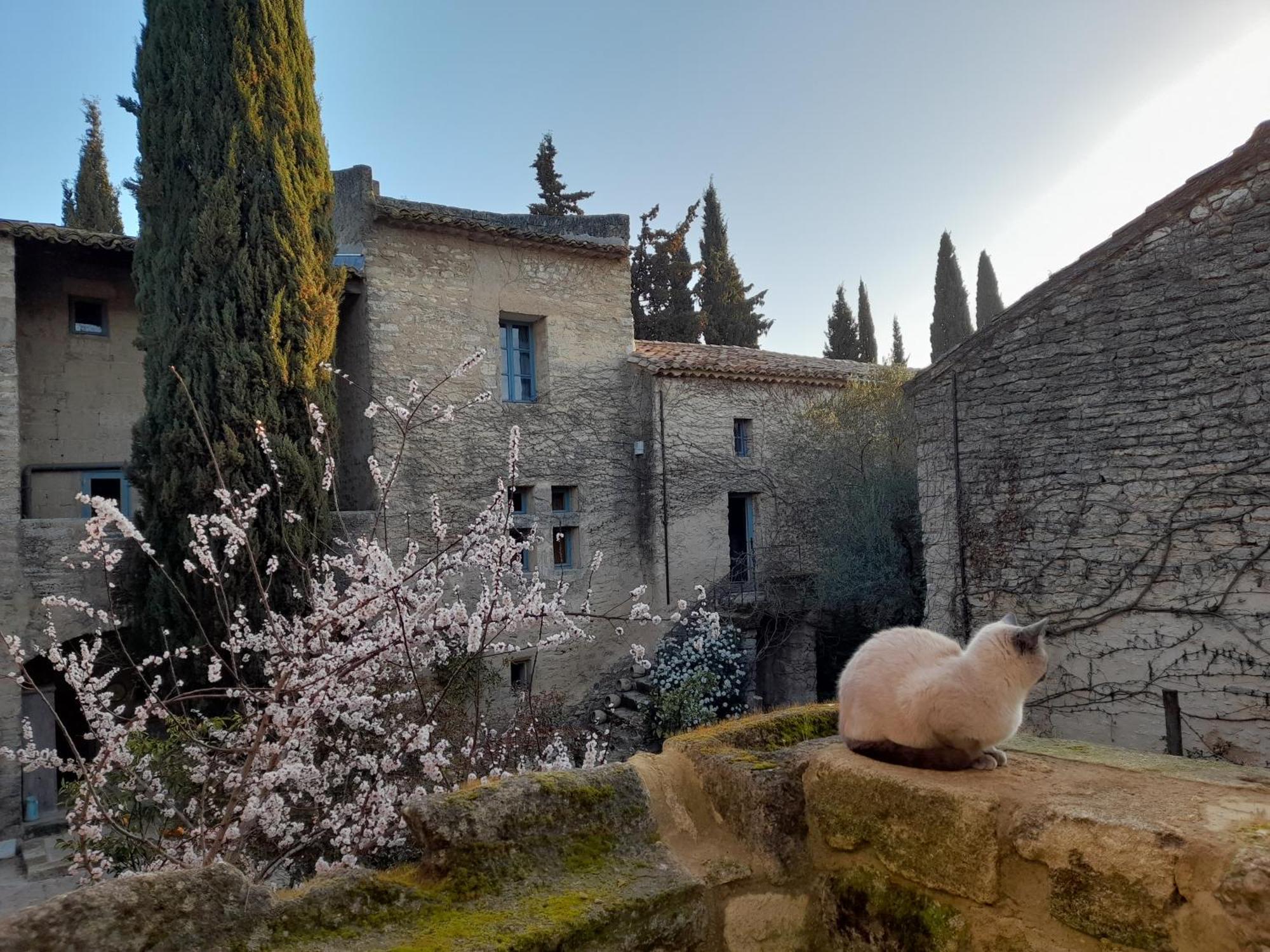 Le Mas Du Lac Uzes Exterior photo